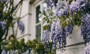 Home 1 pexels-lina-kivaka-5623940