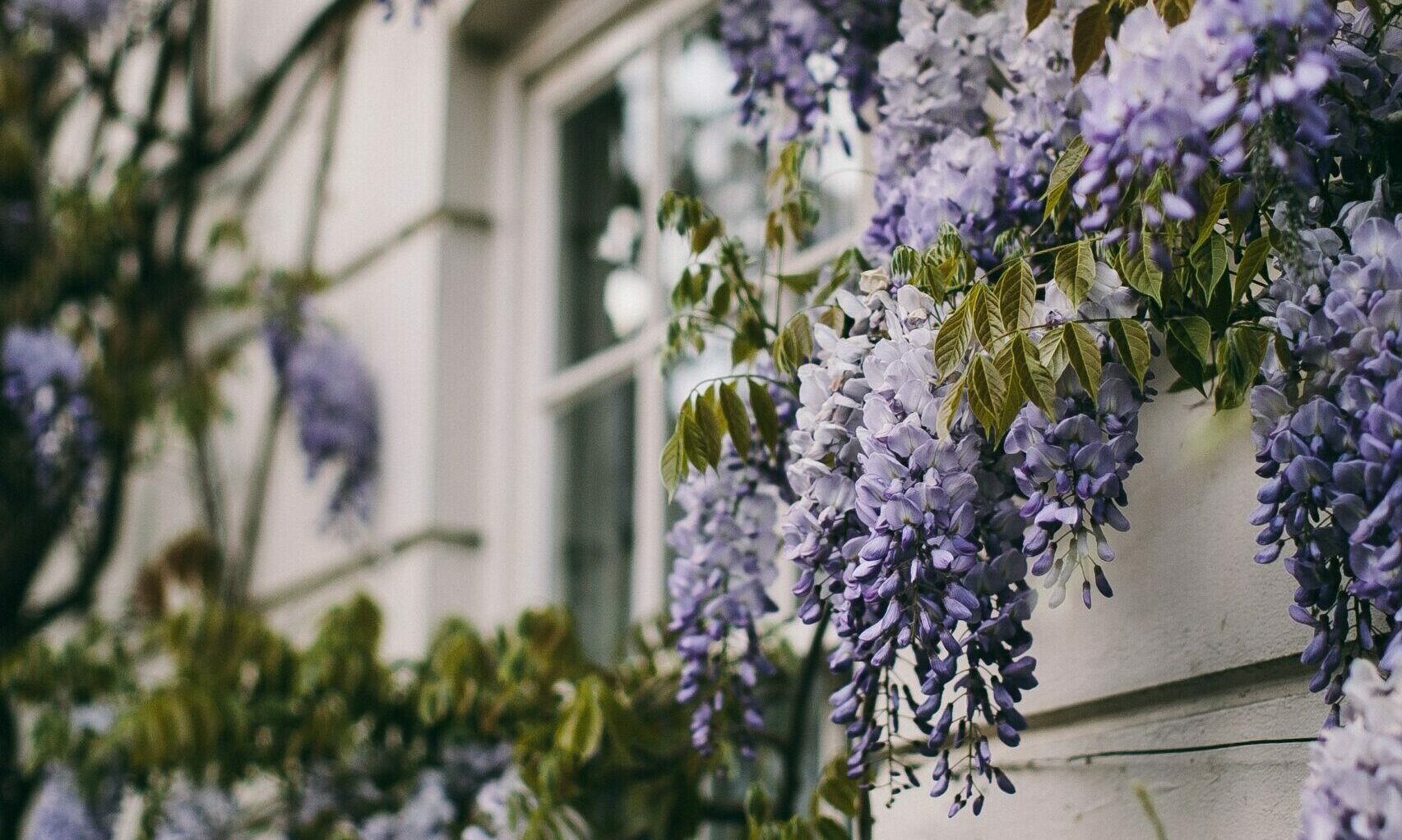 Golders Green Nursing Home Care & Nursing in London